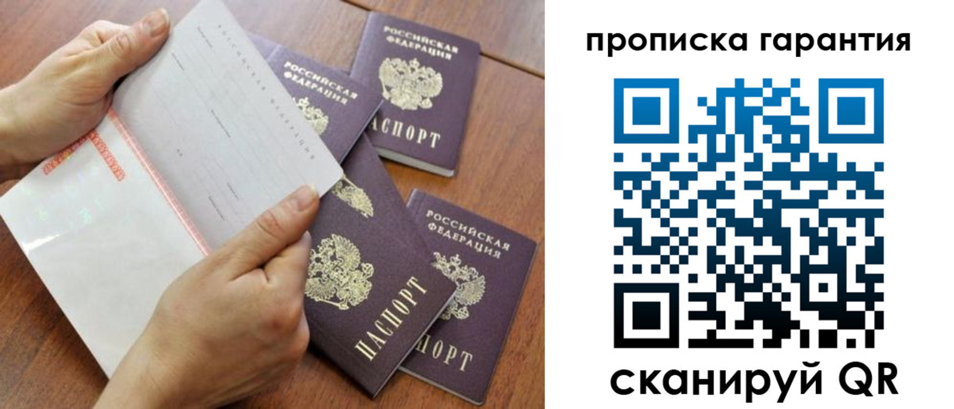 прописка в Сольцах
