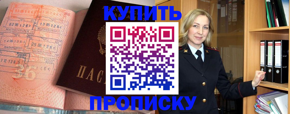 прописка в Сольцах